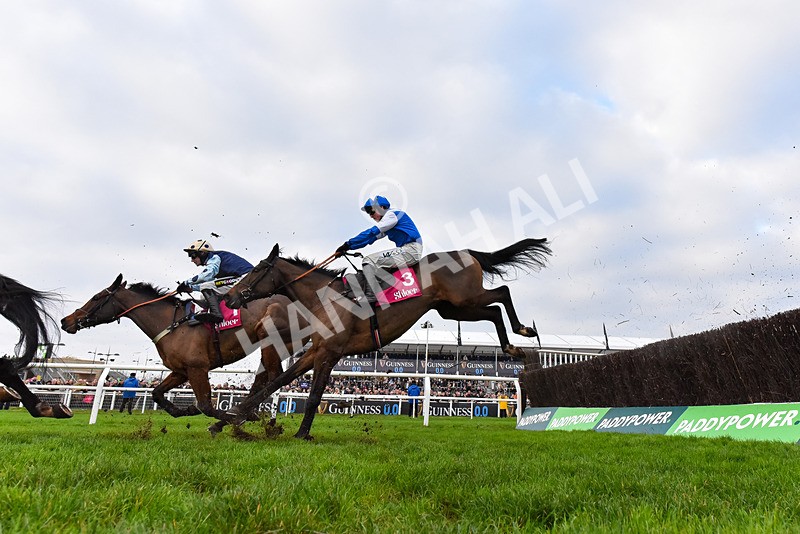 151124-Race 3-Boothill-8908 - Race 3