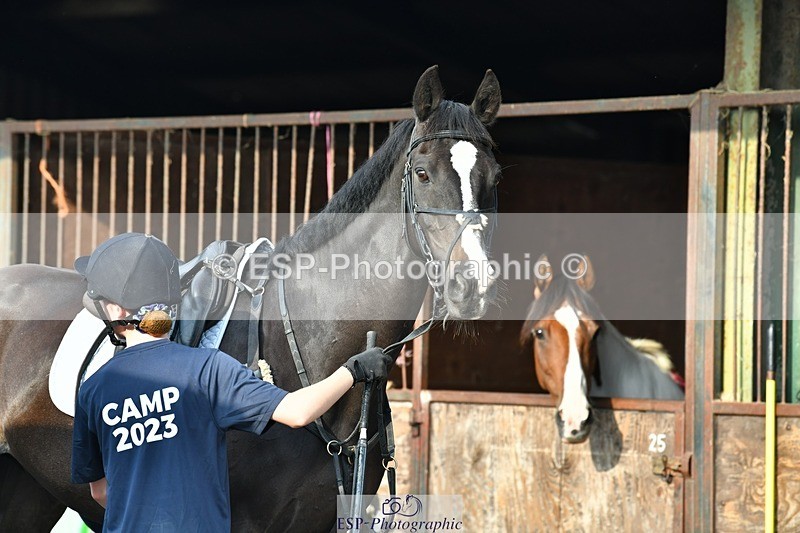 230817-084439-02447 - Stable Shots