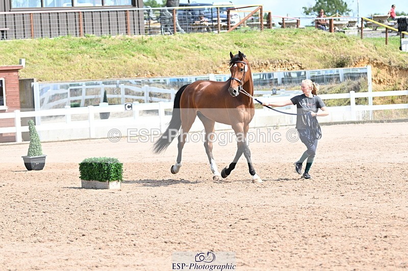 240717A-155228-03123 - Trot Up 3pm to 4pm