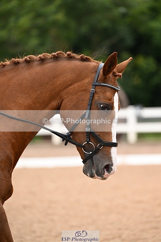 250705-165948-05875 - E1 Section BDE1 16.02 to  to 16.58