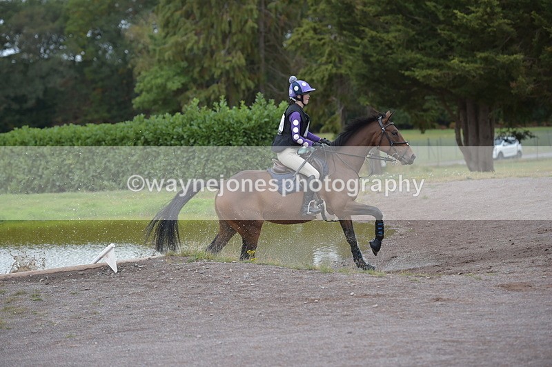 NGP_2661 - XC Time 11:37 to 11:57