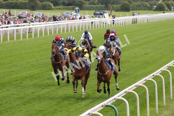 yr10062022r7-19 - Race 7 5.10pm Andy Thornton Hospitality Furniture Stakes