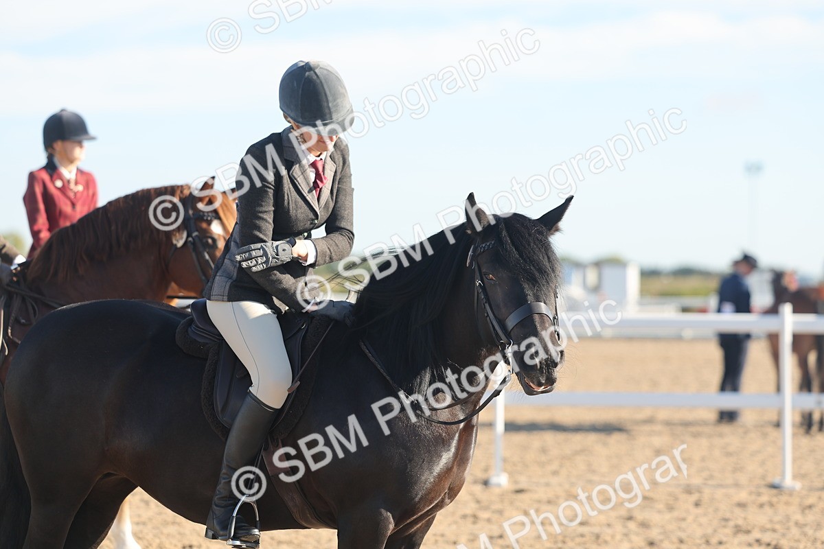 SBM_11045 - Class 302 - Ridden M&M Large Breeds