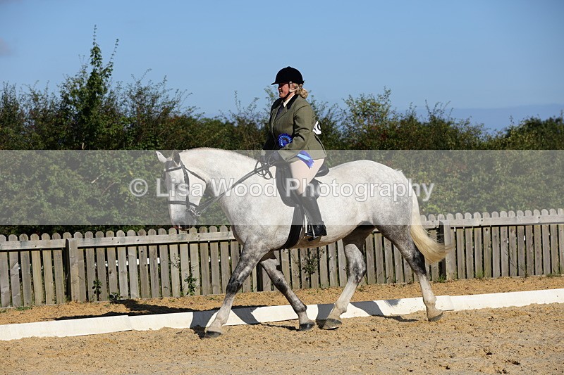 1X9A7652 - Class 7: Novice Ridden Hunter/Hack/Cob/Riding Horse