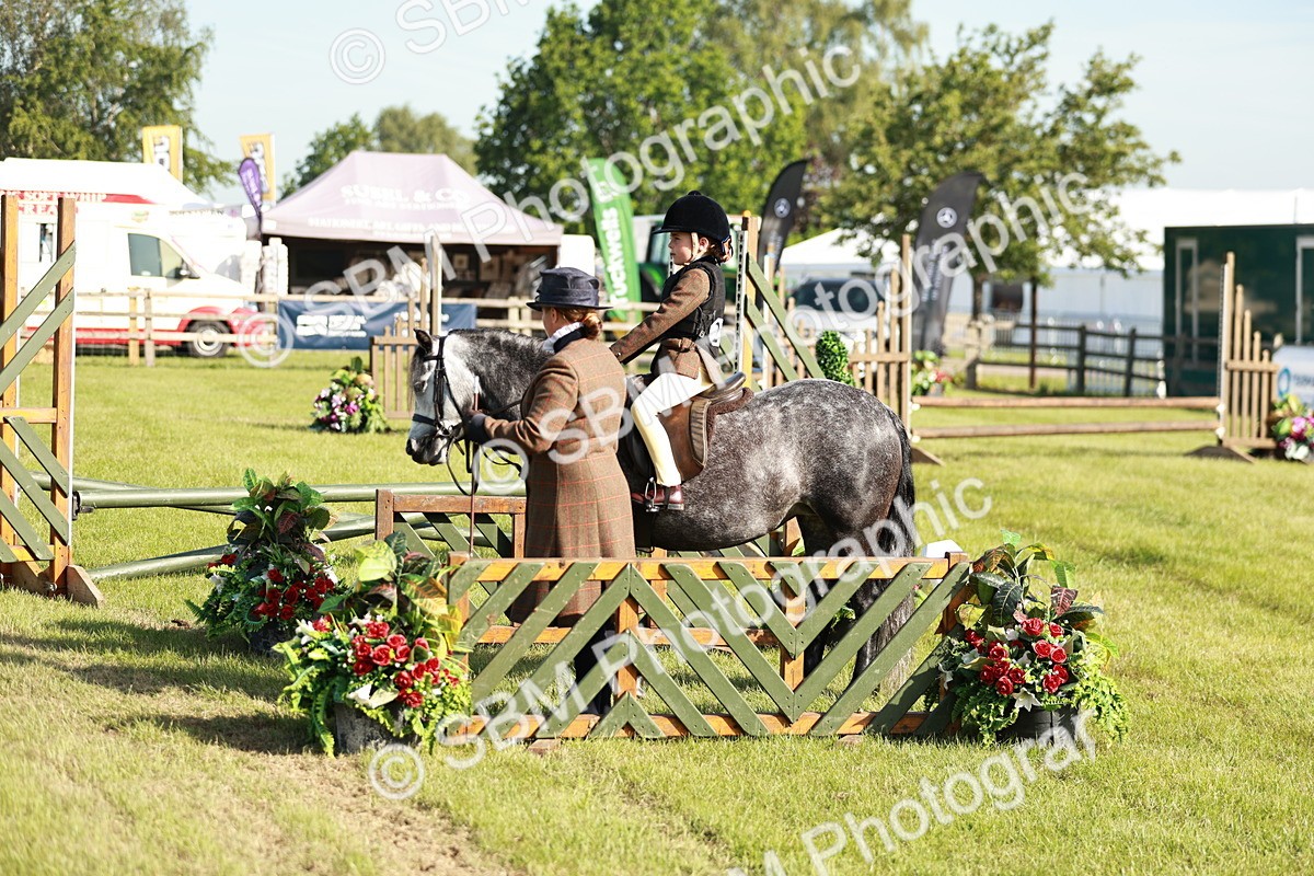 SBM_11223 - Class 106-107 - BSPS LIHS Working Sports Pony