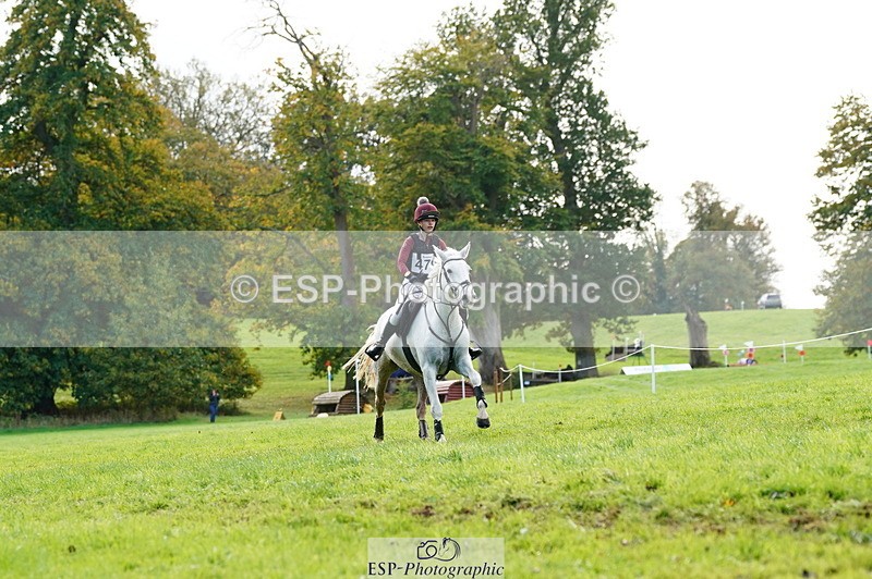 251025A-134730-20678 - F-479-Poppy.Wellman