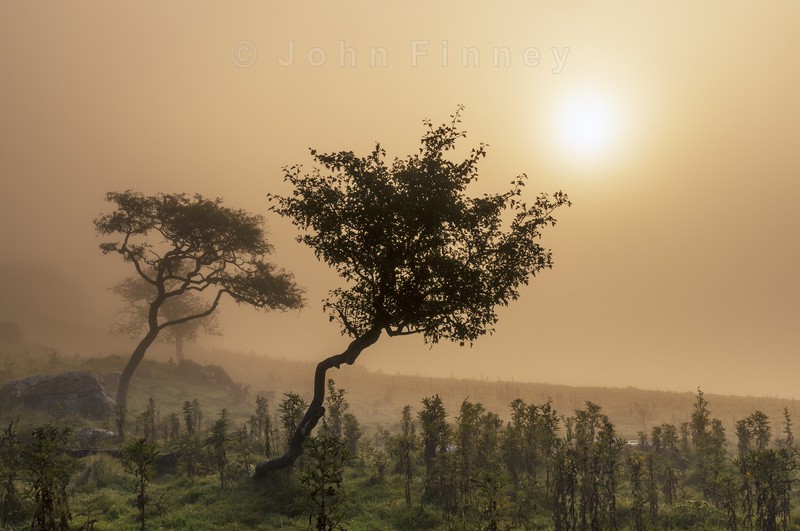 Diffused light - Yorkshire Dales & Yorkshire
