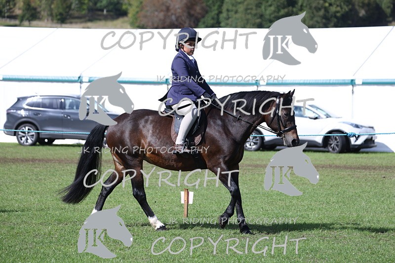 APP_3524 - Class 12 M&M ridden