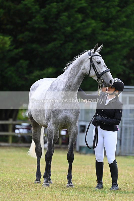 WJ7_6303 - Class 4a Prettiest Mare over 14hh