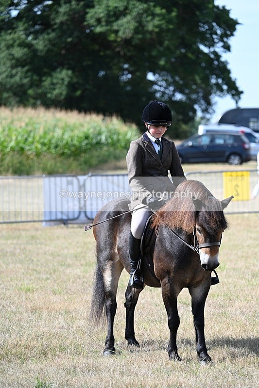 WJ7_2757 - Class 8 Ridden Tack & Turnout
