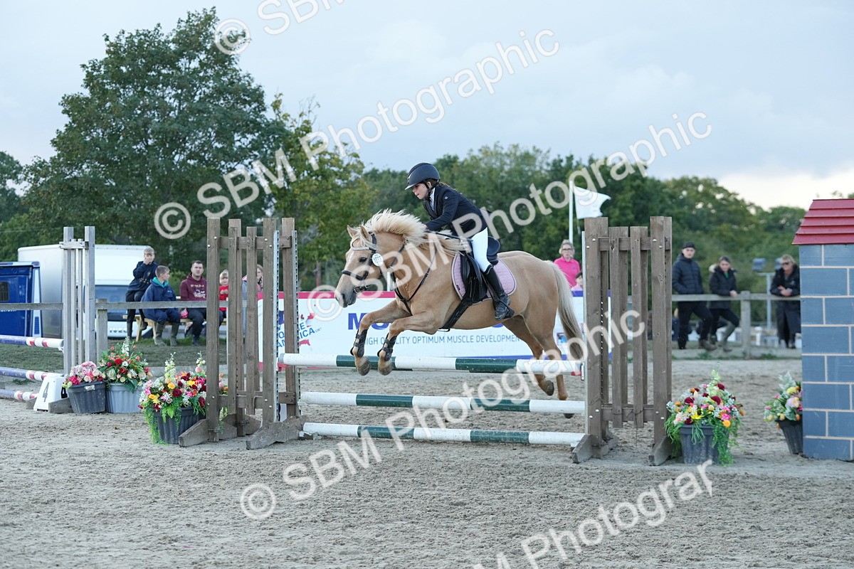 SBM_54209 - Supreme Championship 60cm 65cm