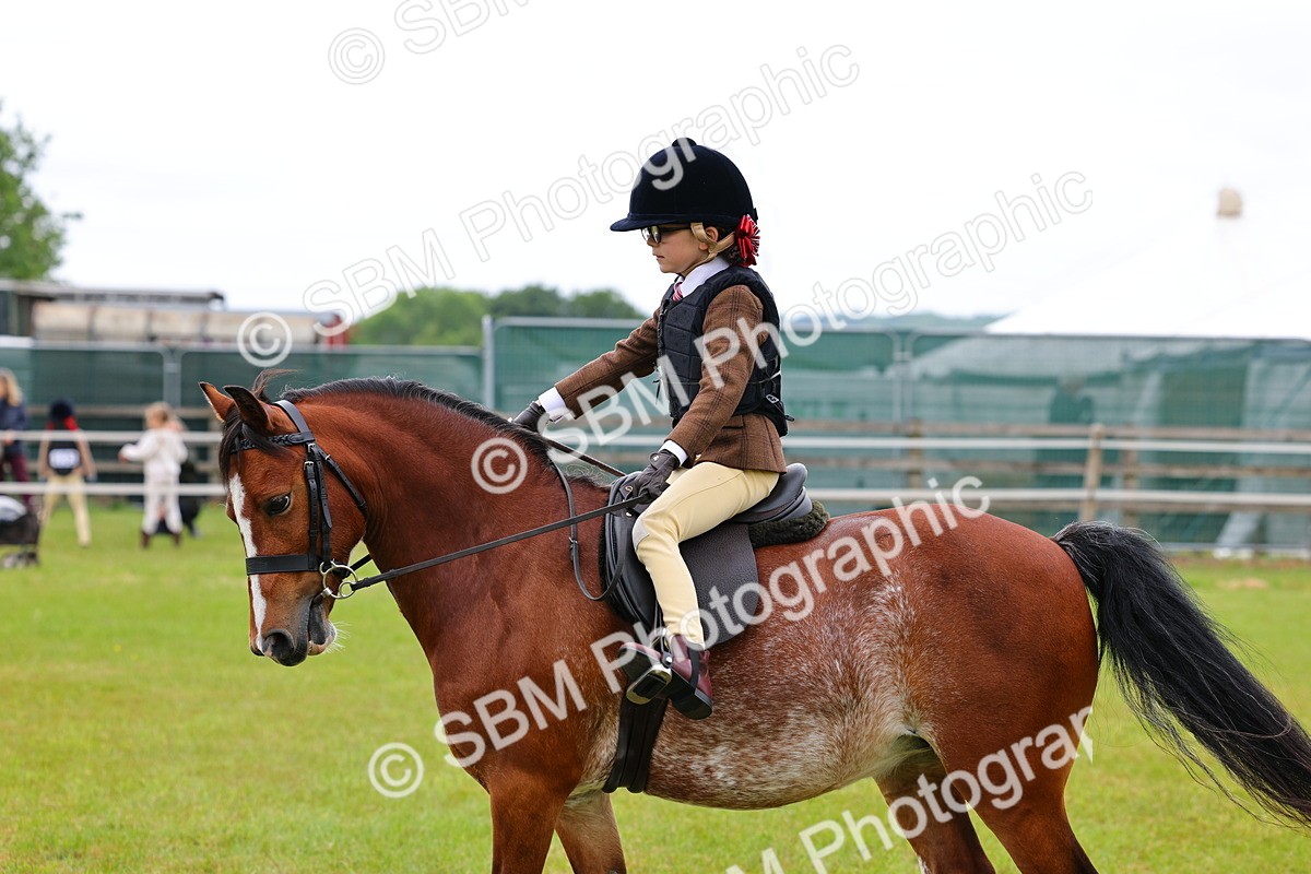 SBM_08765 - Class 42-43 - LIHS BSPS Heritage Working Sports Pony