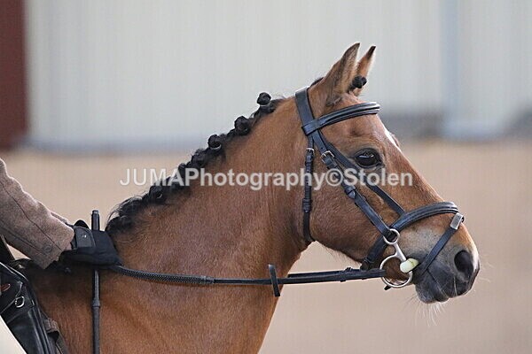 SIAL1786 - Indoor Classes