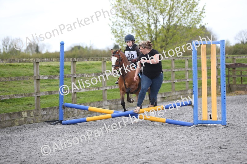 20260412-0107 - Show Jumping