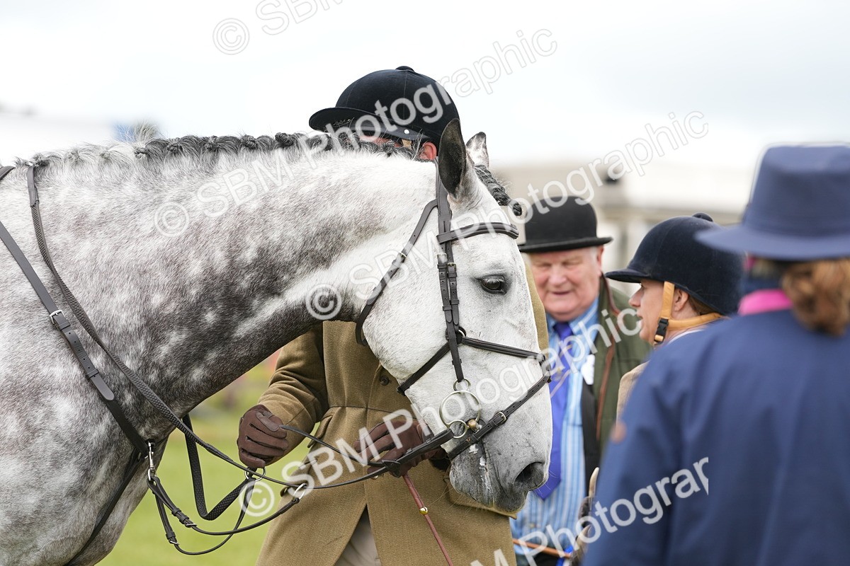 SBM_14890 - Class 100-102 - RIHS Working Hunter
