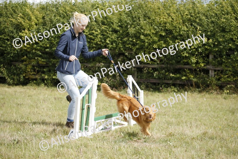 20250831-3895 - Dog Show