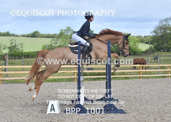 BPP_1001 - Senior British Novice/ 90cm Open