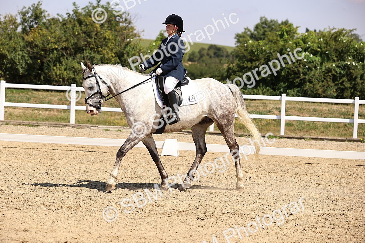 SBM_003947 - Intro 2