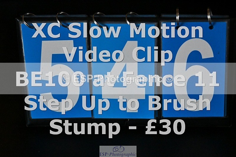 ESP_546 - 546-Jennifer.Jaques-AURELIA.COOL