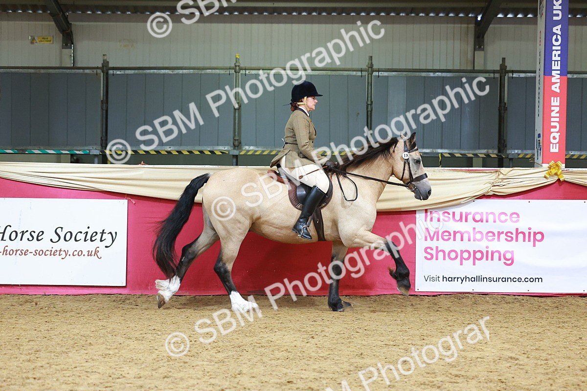 SBM_06200 - Class 12R - Ridden Pre-Vet