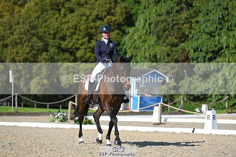 230526-172446-07593 - 263-CARWARTHEN_HARRIER-Polly_Muirhead-WEDTrotUp+DR