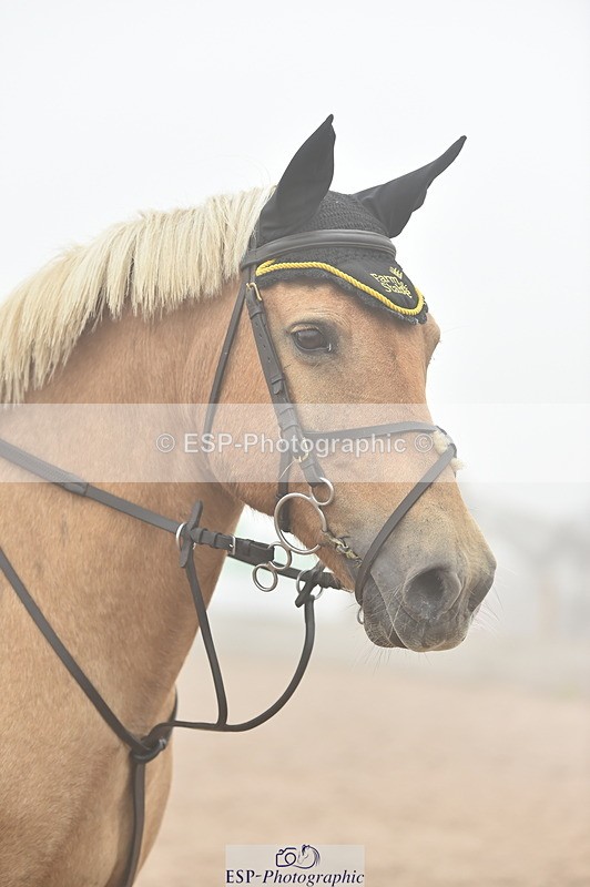 230902A-094532-00214_Cls 1 Pony Intro 70cm - 077-495-3031