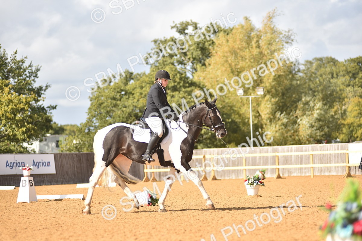 SBM_24304 - D4 - Small Tour Championship Intro 4