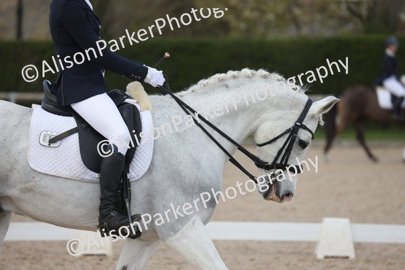 20260405-0831 - Class 9 - Advanced Medium 3