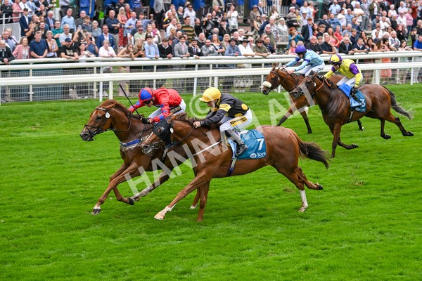 080925-Race 2-Alzahir-7429 - Race 2 3.00pm Sky Bet Super Sub Sprint Handicap