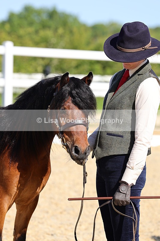 1X9A0704 - Class 3: Youngstock 1, 2, 3 year old not to exceed 153cm