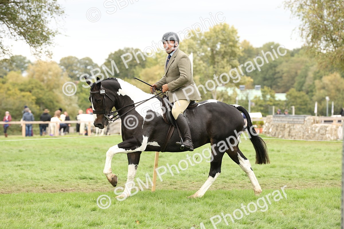 SBM_67275 - S67 - Piebald & Skewbald Horse Ridden