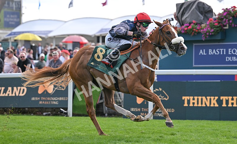 190826-224 Miss Yechance - Race 6 16.45pm Irish Thoroughbred Marketing Handicap