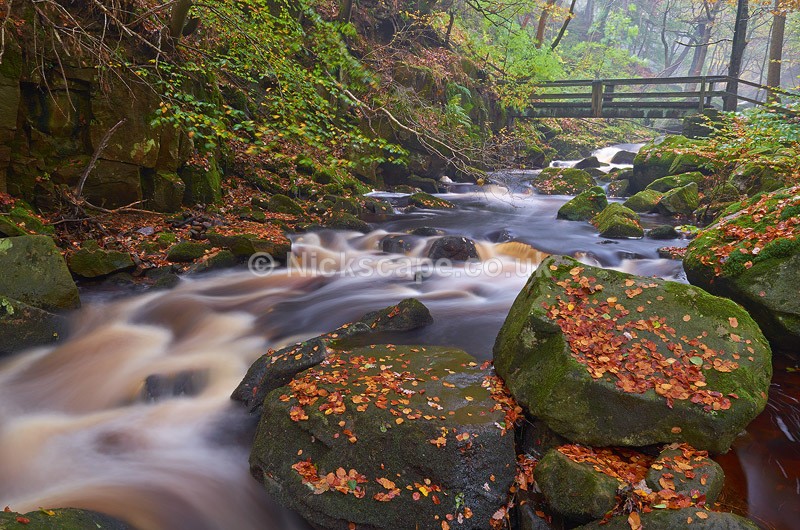 Autumn Woodland at Padley Gorge - Peak District National Park - Peak District Landscape Photography Gallery