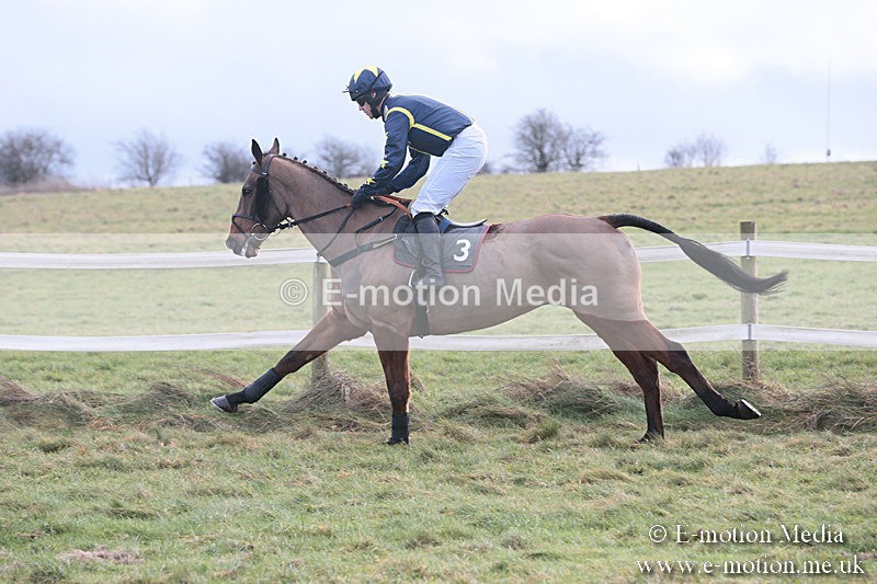 PtP 230119 39 - Royal Artillery Point-to-Point  - Larkhill  - 26/01/19