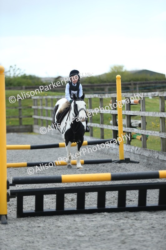 20260412-1834 - Show Jumping