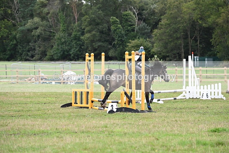 WJ6_0318 - 40cm Time 10:00 to 10:28