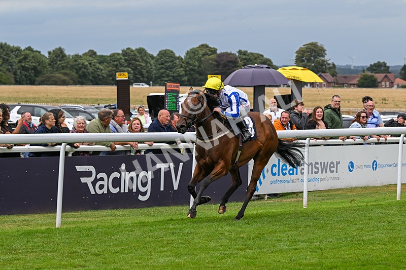 150824-Race 3-Go On Rosie-7867 - Race 3