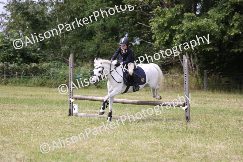 20260614-4102 - Class 24 - Mini and Major Pairs Jumping