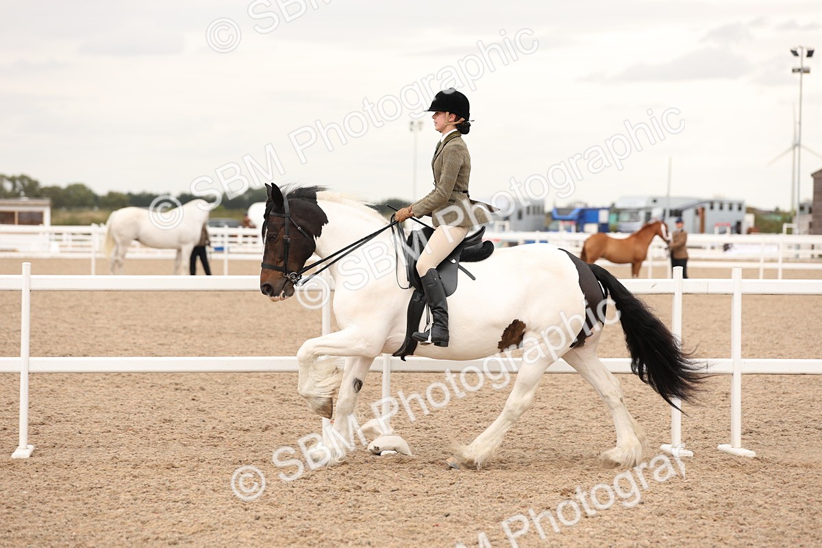 SBM_19692 - Class 216 - Ridden Traditional - Native Cob