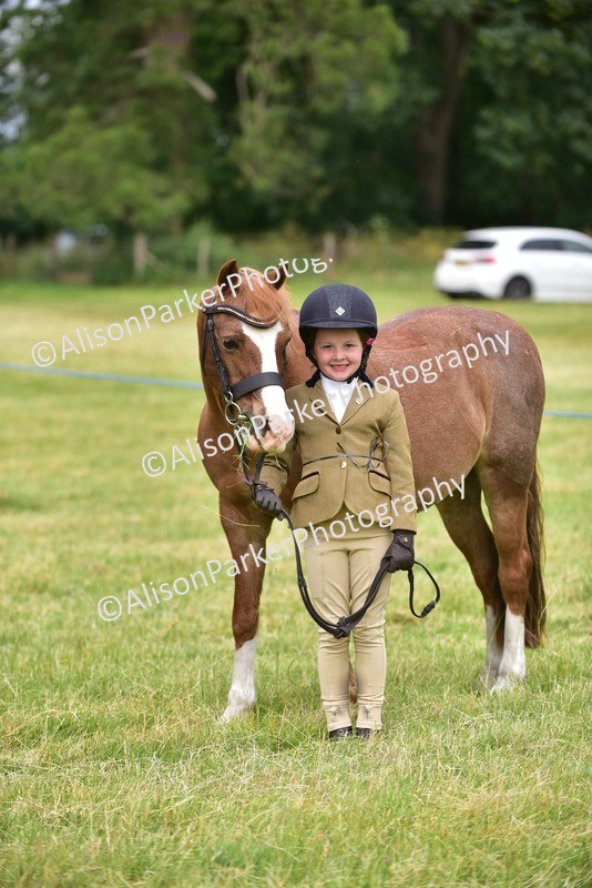 20260614-3692 - Class 15 - Prettiest Mare