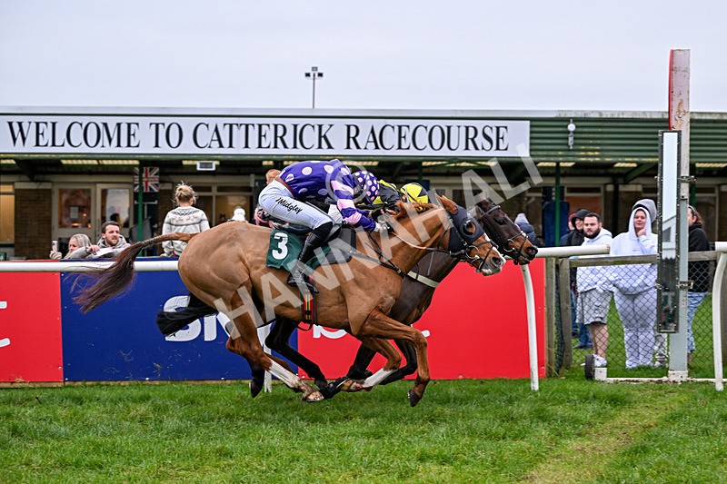 281225-Race 1-Couldbeaweapon-9971 - Race 1