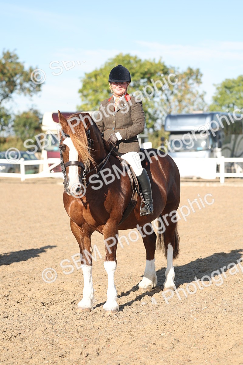 SBM_11068 - Class 302 - Ridden M&M Large Breeds