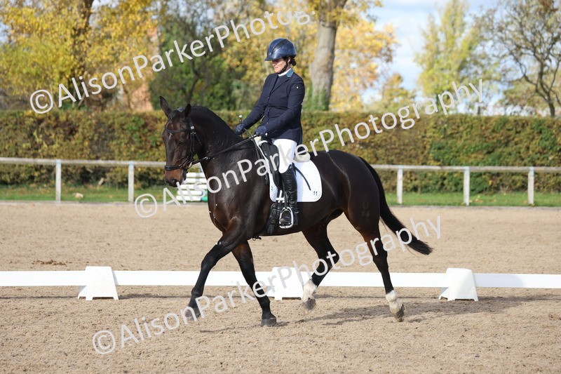 20251102-1118 - Class 6 - Elementary 6