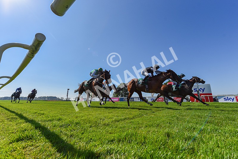 180524-Race 5-Tinto-6571 - Race 5