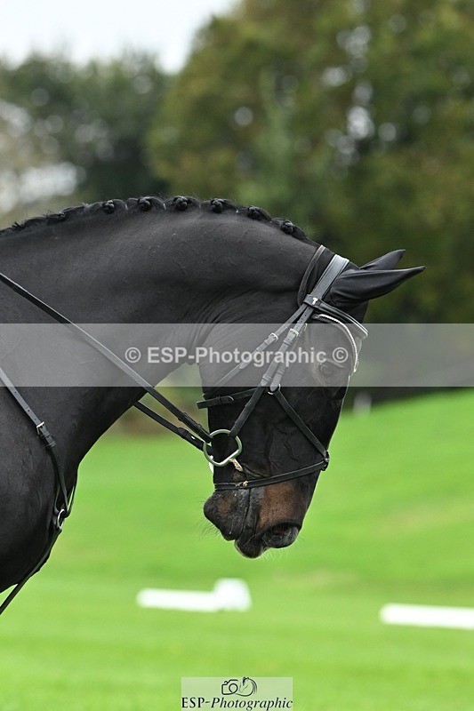 241024-122245-03382 - 514-Georgina.Owen-BARATHEON