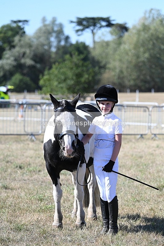 WJ7_1919 - Class 43 Best Six Legs (In hand)