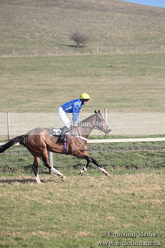 PtP 230219 268 - Vine & Craven Point-To-Point - Barbury 23/02/19