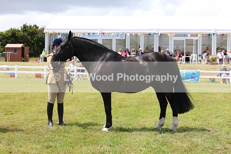 3E7A2165 - Class 10: Open Cob