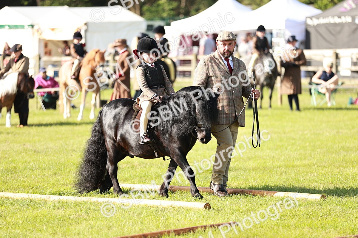 SBM_11164 - Class 106-107 - BSPS LIHS Working Sports Pony