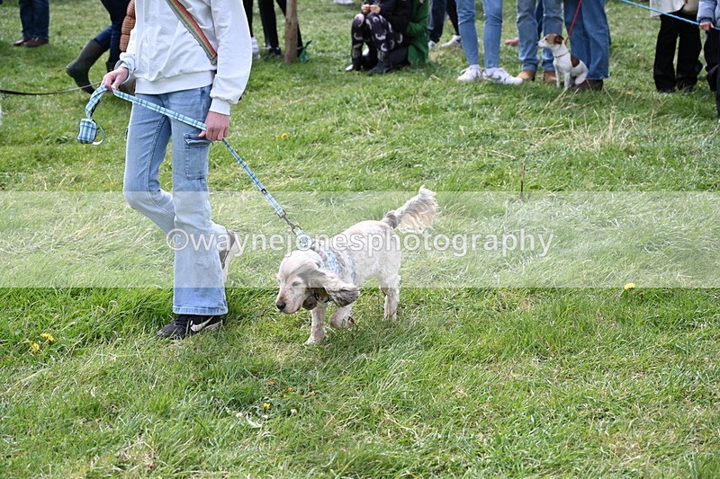 WJ6_8294 - Class 4 Prettiest Bitch